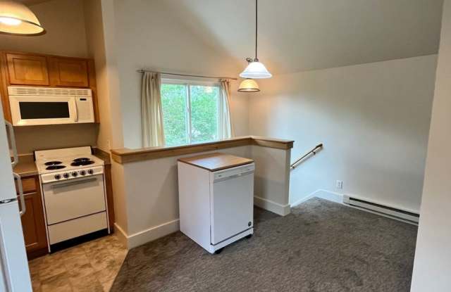 1 Bedroom, 1 bathroom Spacious Apartment - Apartment above garage space. Gallery 3
