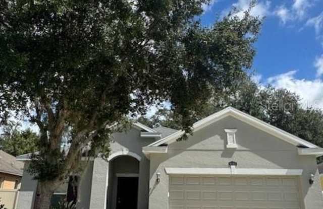 4081 PACENTE LOOP - 4081 Pacente Loop, Wesley Chapel, FL 33543