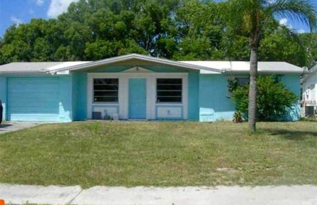 5253 HAWK DRIVE - 5253 Hawk Drive, Elfers, FL 34690