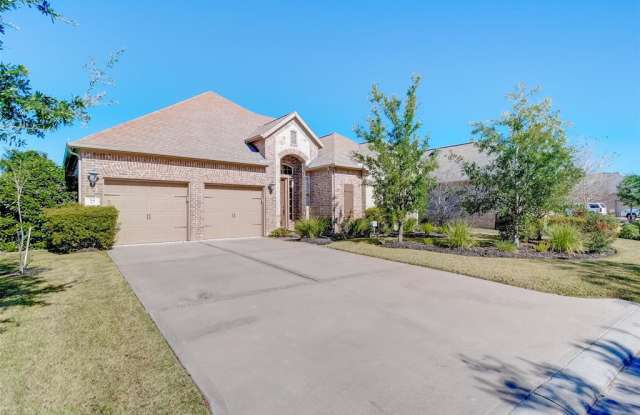 54 Witherbee Place - 54 Witherbee Place, The Woodlands, TX 77375