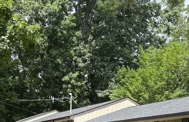 113 W Fork Dr photos photos