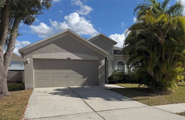 10301 GOLDENBROOK WAY - 10301 Goldenbrook Way, Hillsborough County, FL 33647