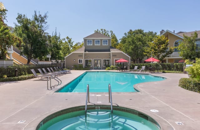 Woodland Meadow photos photos