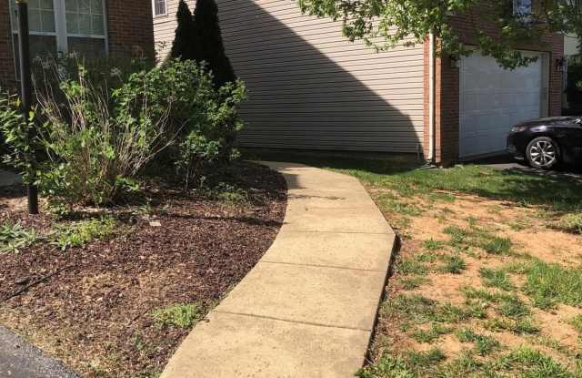 4803 DAISEY CREEK TERRACE Gallery 4