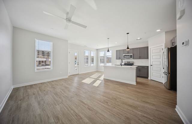 Area Gallery 4