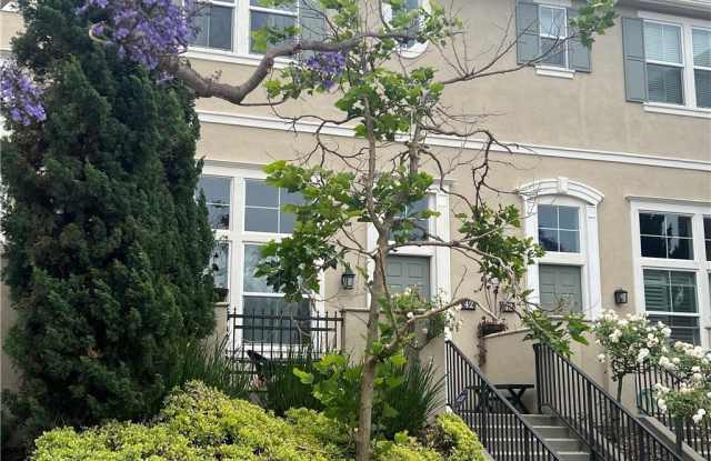 42 Fringe Tree photos photos 42 Fringe Tree photos photos
