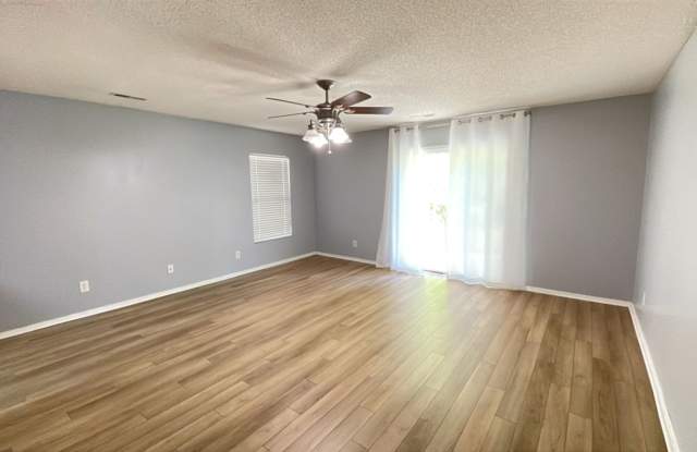 3 bedroom/2 bath home in Bellegroae photos photos