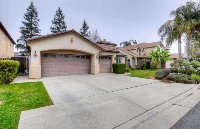 Houston photos photos