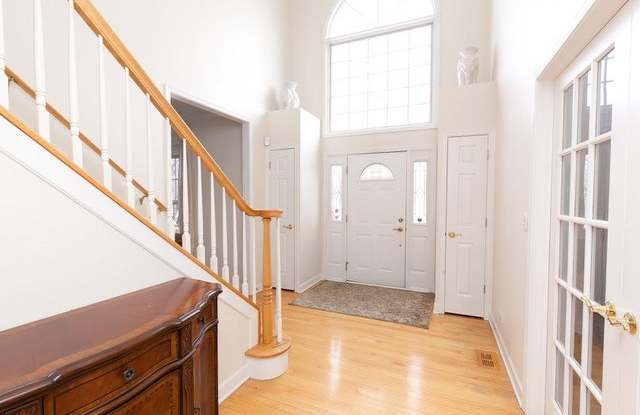 3739 Mistflower Lane Gallery 4