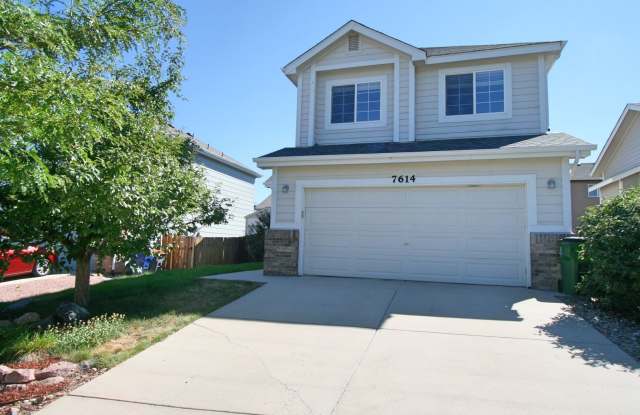 Beautiful 4 Bedroom Home in Stetson Hills! photos photos