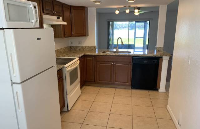 16554 Brigadoon Drive - 16554 Brigadoon Drive, Lake Magdalene, FL 33618
