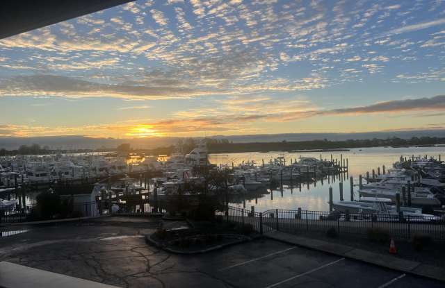 119 Ashley Avenue photos photos