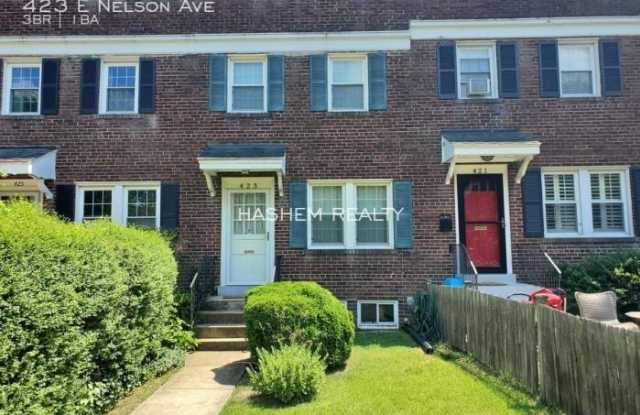 423 E Nelson Ave - 423 East Nelson Avenue, Alexandria, VA 22301