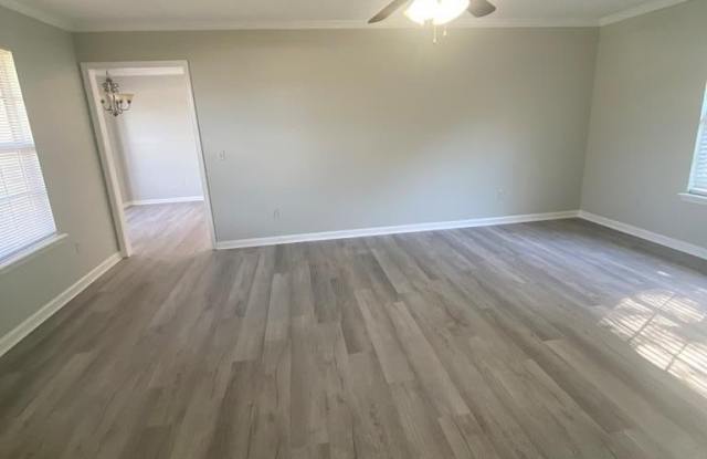 213 Dahlia Gallery 3