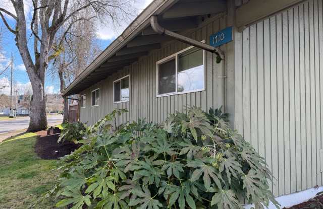 Updated 2 bedroom 1 bath duplex in Eugene!  $200 OFF YOUR FIRST MONTH'S RENT! photos photos