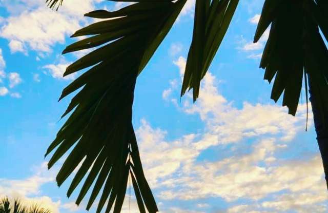 6078 Dusenburg Road photos photos