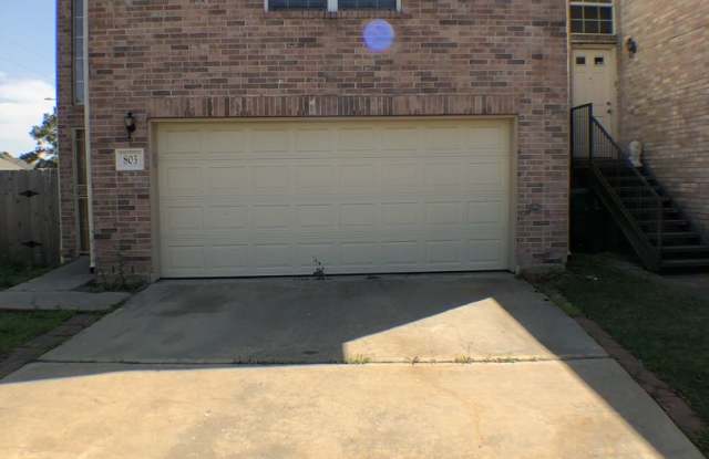 803 Green Pines Forest Gallery 2