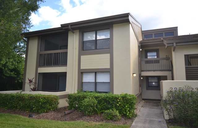 226 Woodlake Wynde - 226 Woodlake Wynde, East Lake, FL 34677