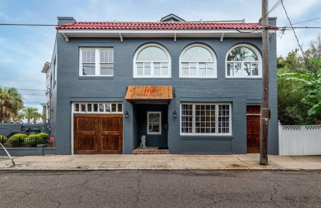 168 Tradd Street - 168 Tradd Street, Charleston, SC 29401