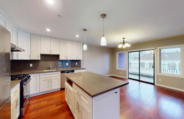 313 Capitol Avenue - 313 Capitol Avenue, San Francisco, CA 94112