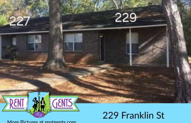2 bedroom/1 bath duplex in Pike Co - 229 Franklin Street, Zebulon, GA 30295