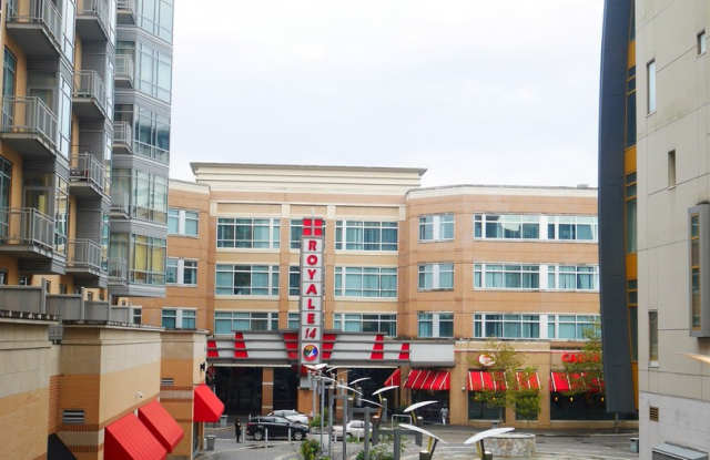 1 Bedroom Luxury Condominium located in Hyattsville, MD! photos photos