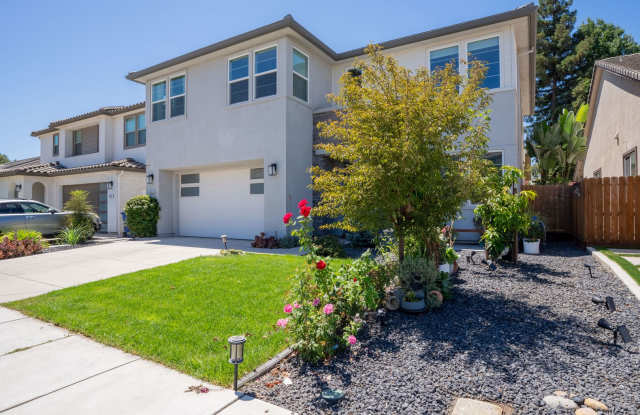 Modern 2020 Build home in Modesto, 3 bed 3.5 bath Gallery 3