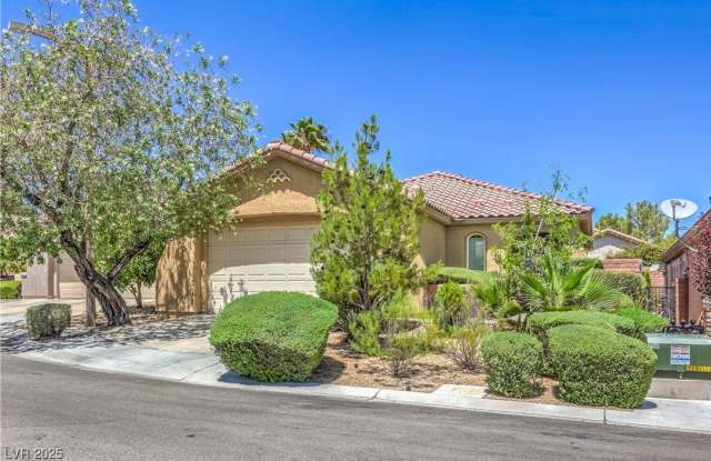 10964 Snow Cloud Court photos photos