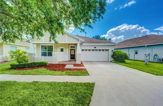 5128 Pheasant Woods Drive - 5128 Pheasant Woods Drive, Cheval, FL 33558