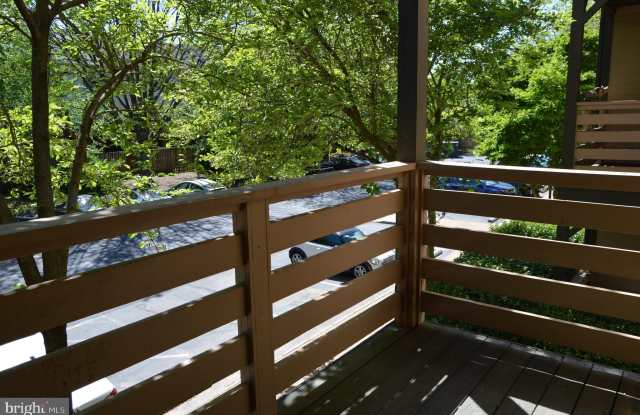 241 LOUDOUN STREET SW Gallery 2
