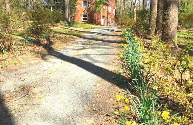 10410 PATRICIAN WOODS CT - 10410 Patrician Woods Ct, Great Falls, VA 22066