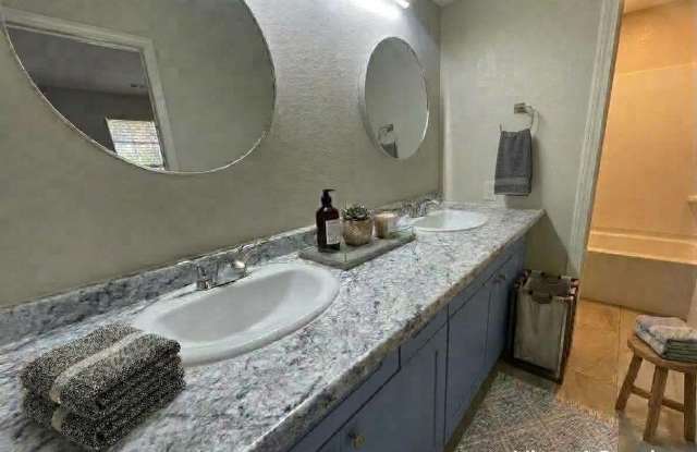 Newly Renovated Top to Bottom - 1 Bedroom 1 Bath - Walk-In Apartment Gallery 4