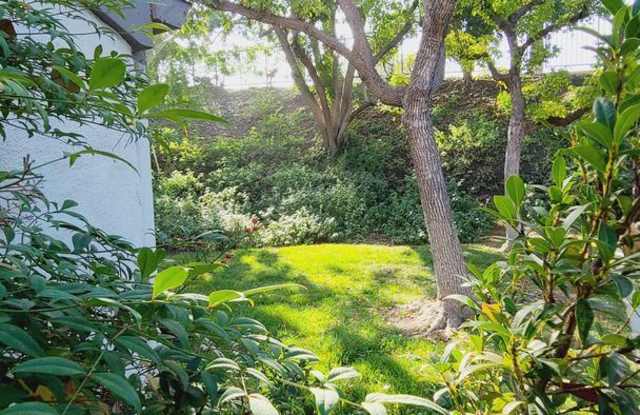 1100 W. Country View - 25 Gallery 3