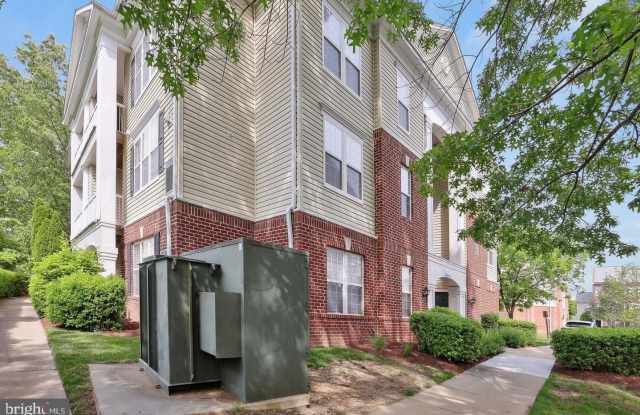 42481 ROCKROSE Square Gallery 2