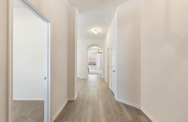 6913 Red Bluff Drive Gallery 3