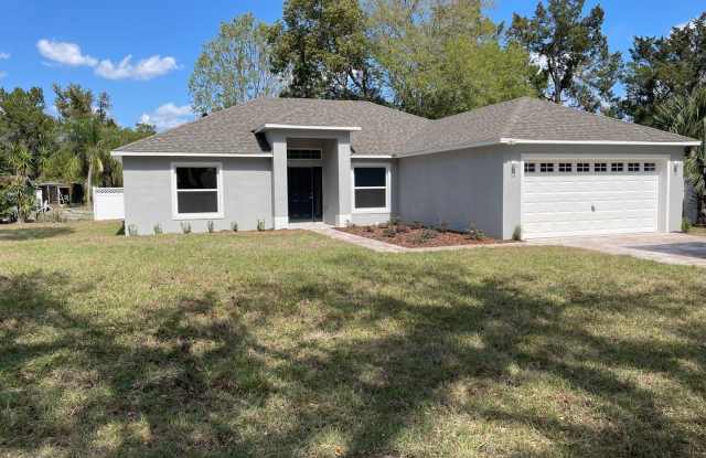 16909 Cumbermoore Lane - 16909 Cumbermoore Lane, Lake County, FL 32784