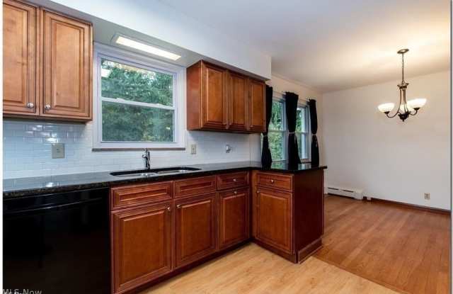 7812 Snowville Road Gallery 4