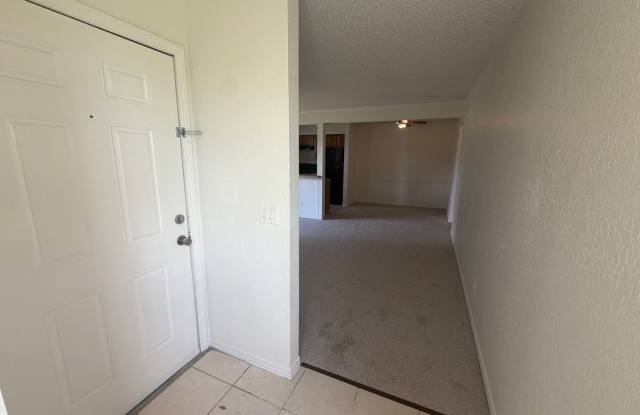 1 bedroom 1 bath in Winter Park, FL! Gallery 3