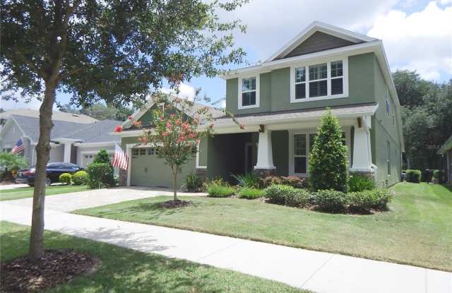 16107 COURTSIDE VIEW DRIVE - 16107 Courtside View Drive, Fish Hawk, FL 33547
