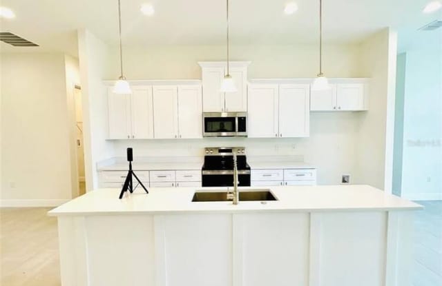 562 Kilimanjaro Drive Gallery 4