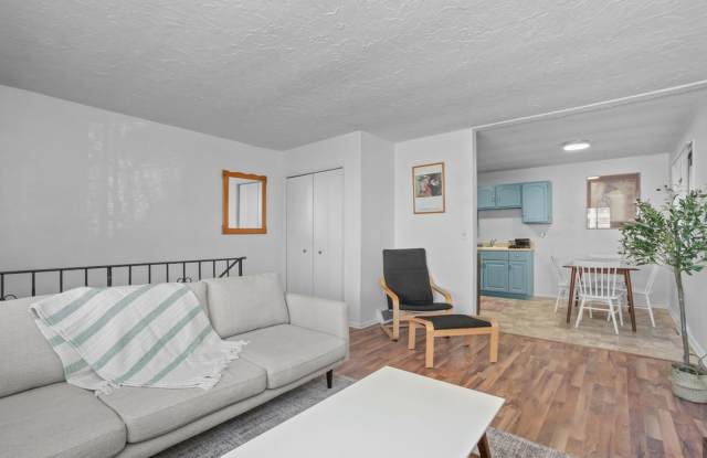 Spacious 3-Bedroom Duplex in Northeast Minneapolis – Garage & In-Unit Laundry Gallery 4