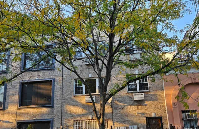 733 Monroe - 733 Monroe Street, Brooklyn, NY 11221