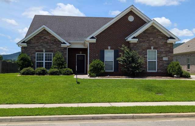 7126 Weeping Willow Drive photos photos