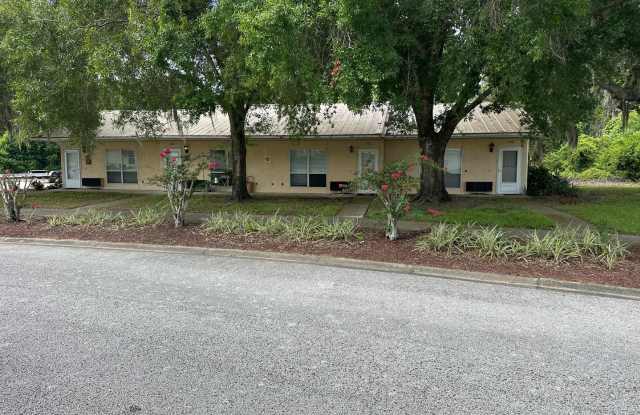 Experience Maintenance-Free 55+ Living at The Cove at Tavares Village! Gallery 3