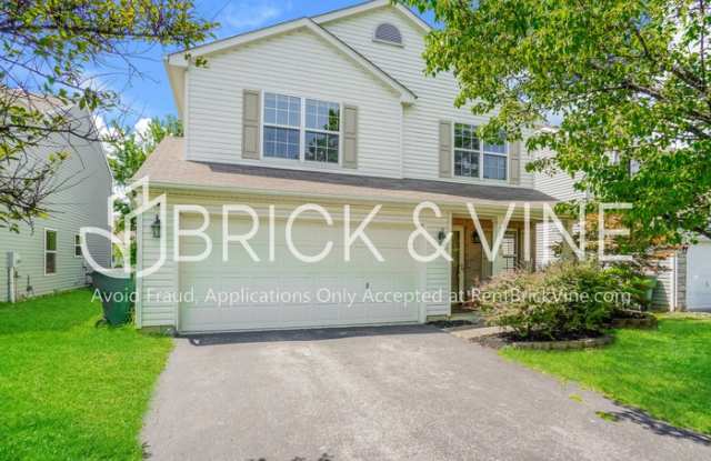 3879 Liriope Street photos photos