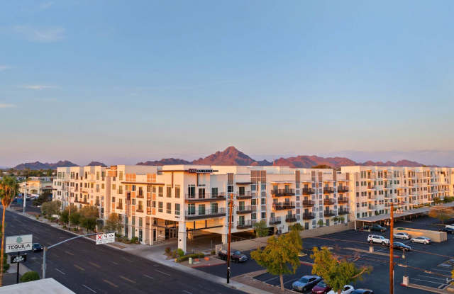 Axis Camelback photos photos