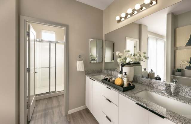 The Wayne photos photos