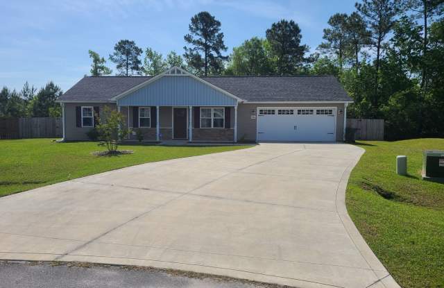 3 Bedroom, 2 bath home in the Bridgeport Community - Sneads Ferry photos photos