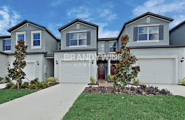 10139 Tabasco Cat Court - 10139 Tabasco Cat Court, Apollo Beach, FL 33573