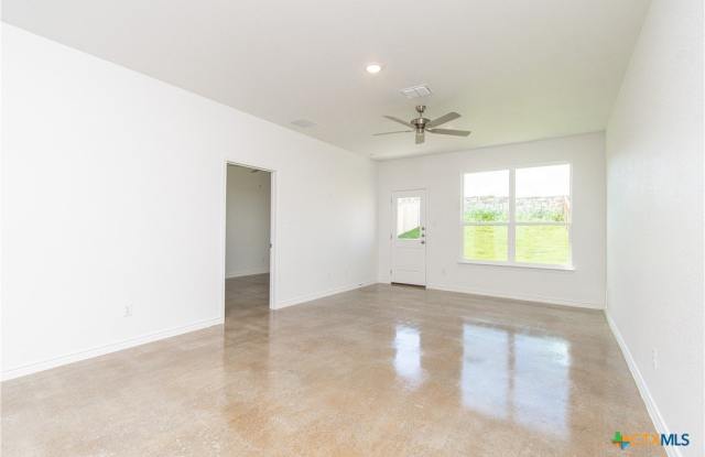 3903 American Elm Gallery 3